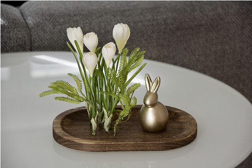 Dekorace OvalCrocUs — foto 1