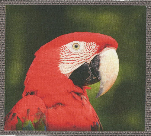 Bavlněná látka - panel 12 x 13 cm — foto 1