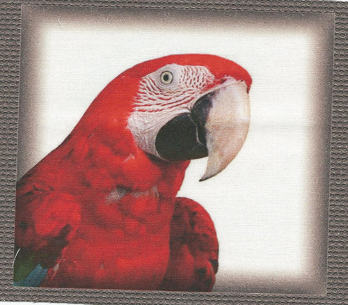 Bavlněná látka - panel 12 x 13 cm — foto 1