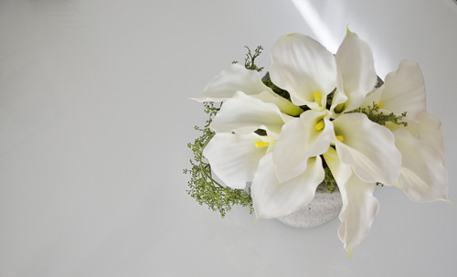 Dekorace GreatCalla — foto 1