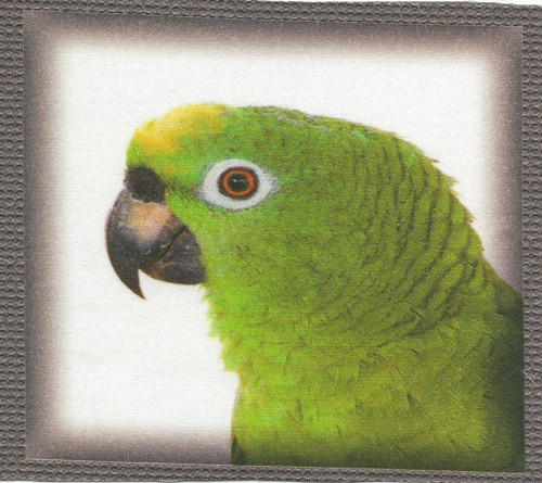 Bavlněná látka - panel 12 x 13 cm — foto 1