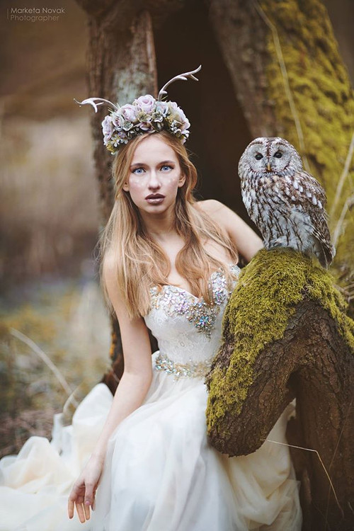 Fantasy čelenka se stříbrným parožím — foto 1