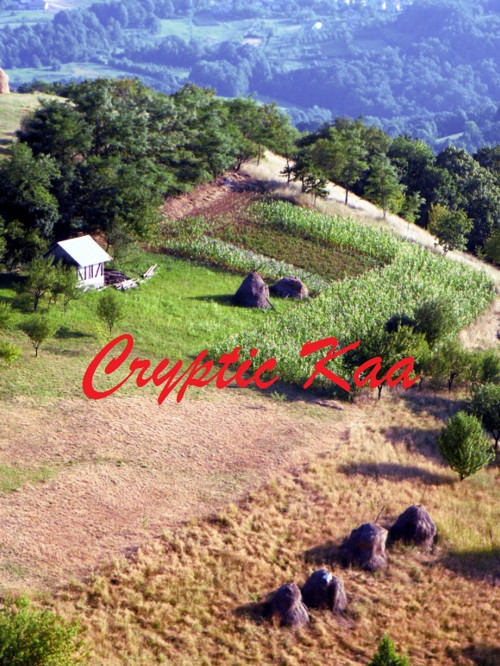 Venkovská Bosna