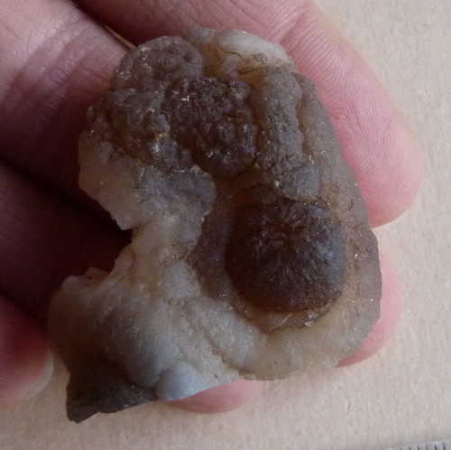 Chalcedon