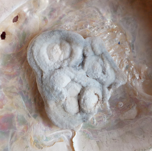 Chalcedon hadí oko — foto 1