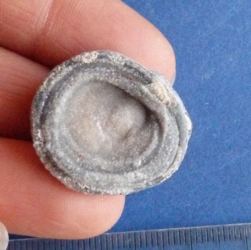 Chalcedon hadí oko — foto 1