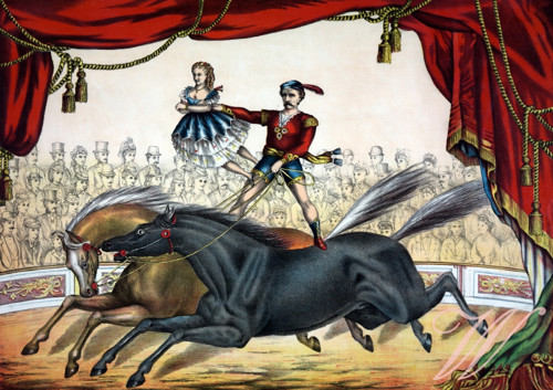 Bavlněný panel CIRK7