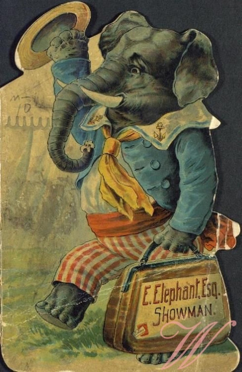 Bavlněný panel CIRK36
