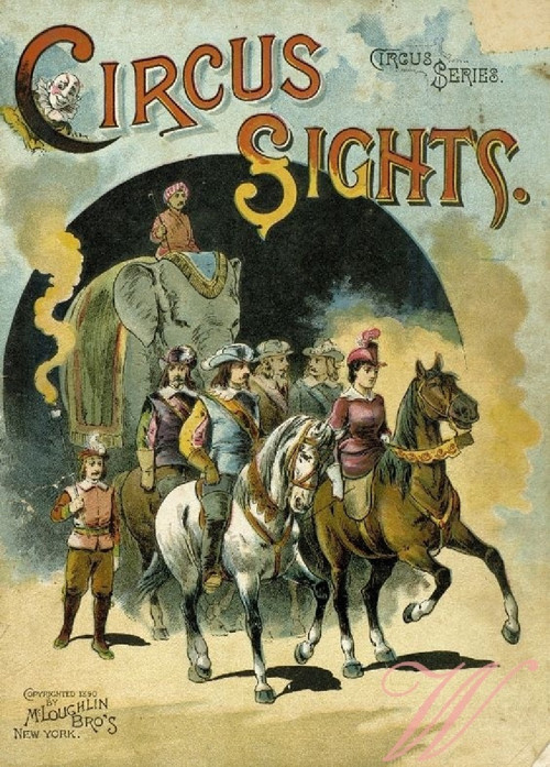 Bavlněný panel CIRK39