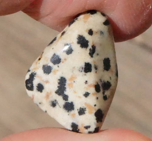 Jaspis dalmatin (22 mm) D8372 — foto 1