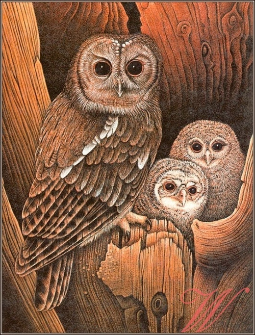 Bavlněný panel MZ276