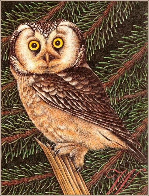 Bavlněný panel MZ278
