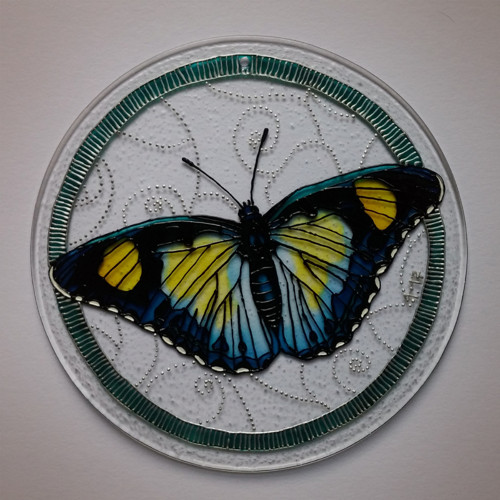 Euphaedra janetta — foto 1