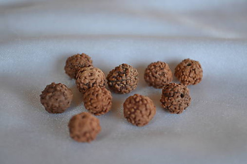 Rudraksha 10mm, 2ks