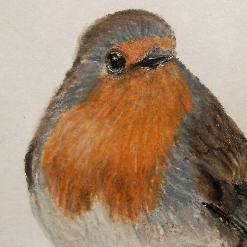 Náš Malý Robin — foto 1