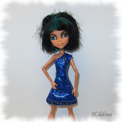 Šatičky STEPHANIE pro panenky MONSTER HIGH — foto 1
