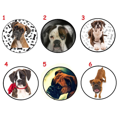 Boxer Magnet Na Lednici — foto 1