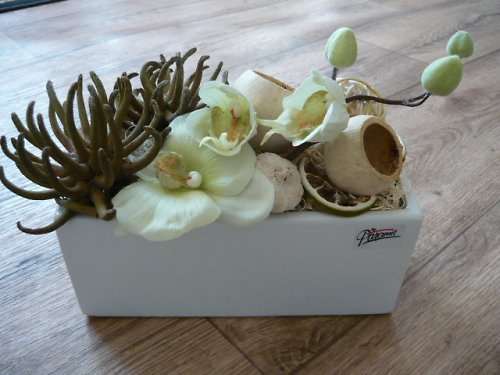 Orchidej v žardince — foto 1