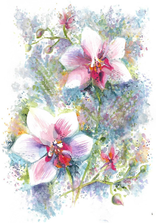 ...orchidej - rezervace... — foto 1