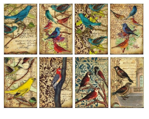 Sada mini papírů Birds — foto 1