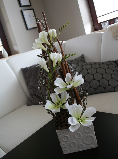 Magnolie s fréziemi — foto 1