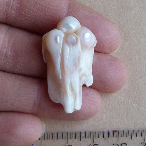 Perla kultivovaná — foto 1