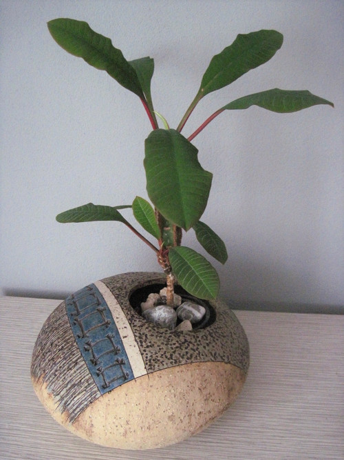 Květináč "čočka" střední