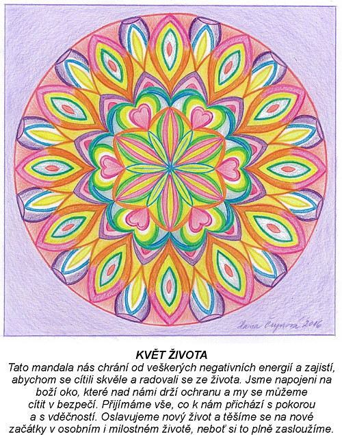 Květ života-kartičky 10x13
