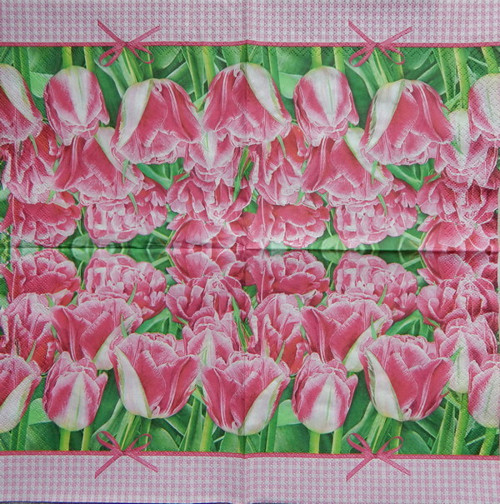 Čas růžových tulipánů 855