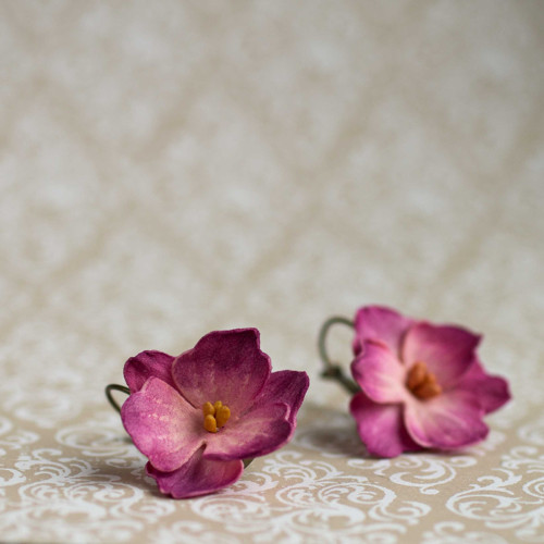 Květinová ouška 1. — foto 1