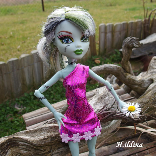 Růžové šatičky SOFIA pro MONSTER HIGH — foto 1