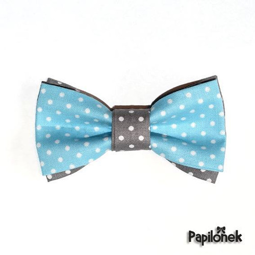 Pánský motýlek - Papilónek tečkovanec — foto 1
