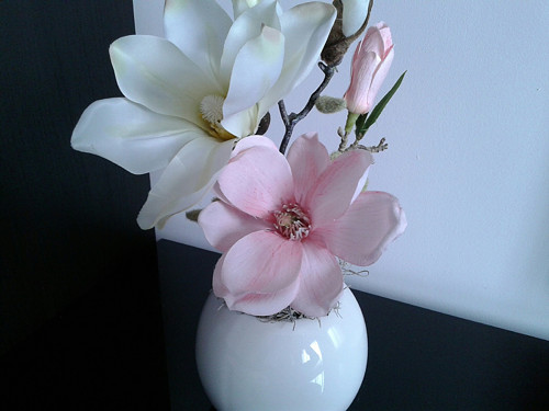 Celoroční dekorace s magnolií — foto 1