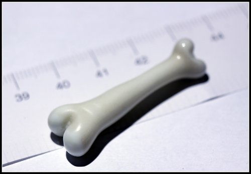 Piercingová naušnice bone1:white — foto 1