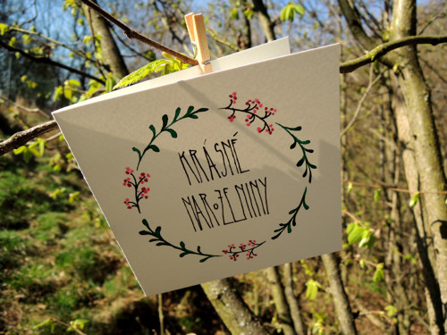 Narozeninové bobule — foto 1