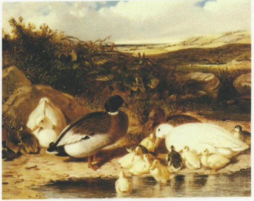 Bavlněná látka - panel 9,5 x 13,5 cm — foto 1
