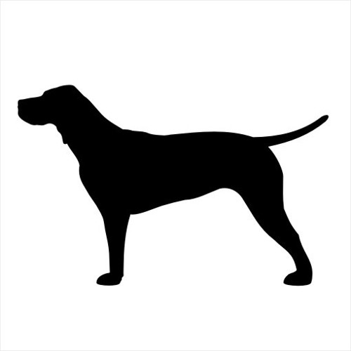 Vizsla - samolepka nejen na auto