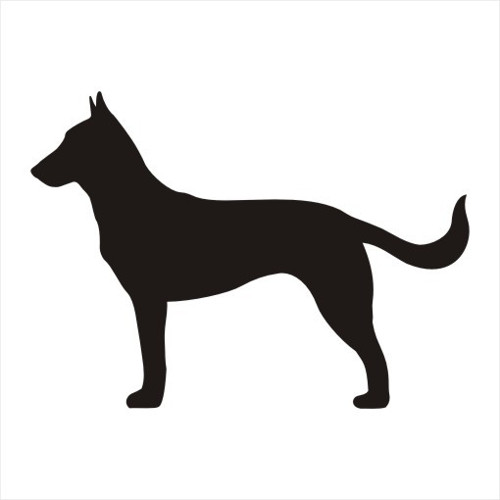 Malinois - samolepka nejen na auto — foto 1