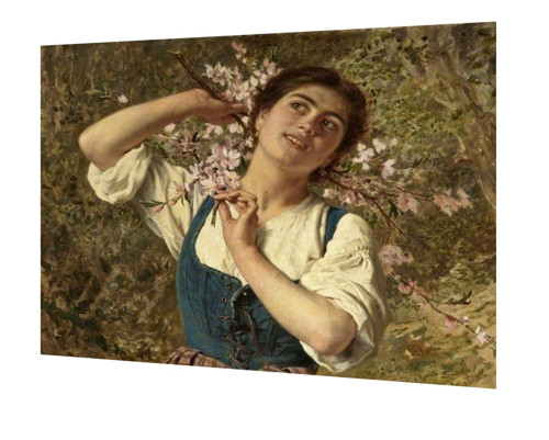 Bavlněný panel Anderson 14
