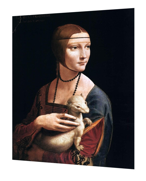 Bavlněný panel Vinci 2 — foto 1