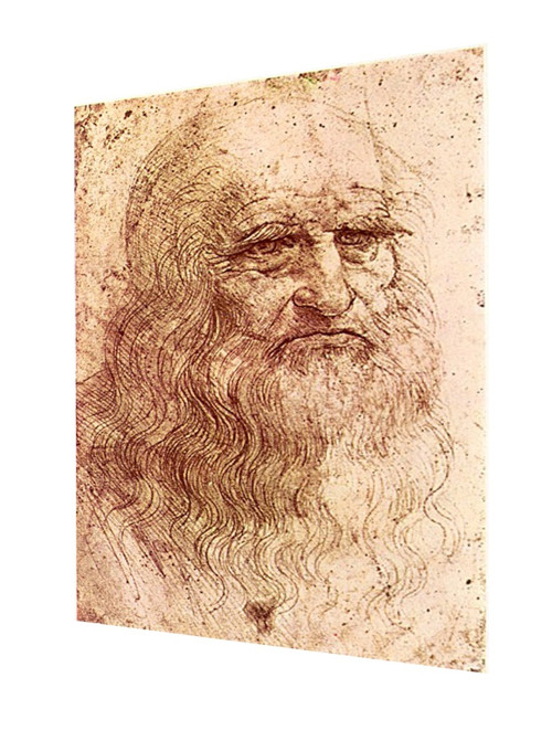 Bavlněný panel Vinci 12