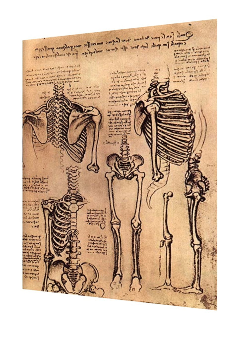 Bavlněný panel Vinci 15