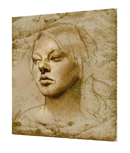 Bavlněný panel Vinci 20 — foto 1