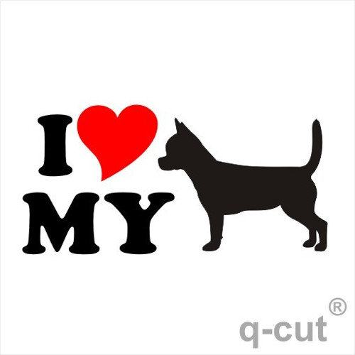 I LOVE MY čivava — foto 1