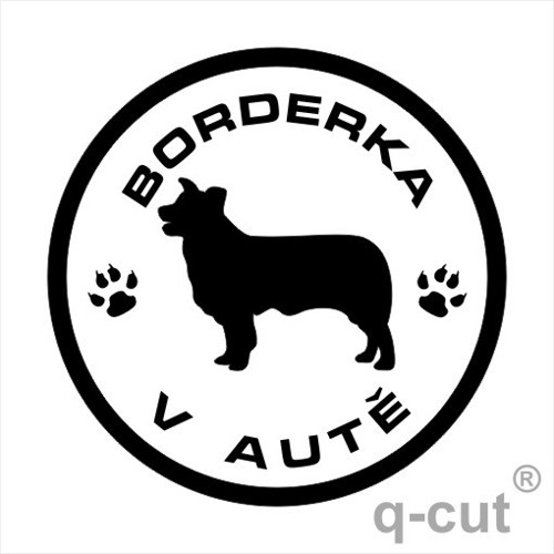 Borderka v autě
