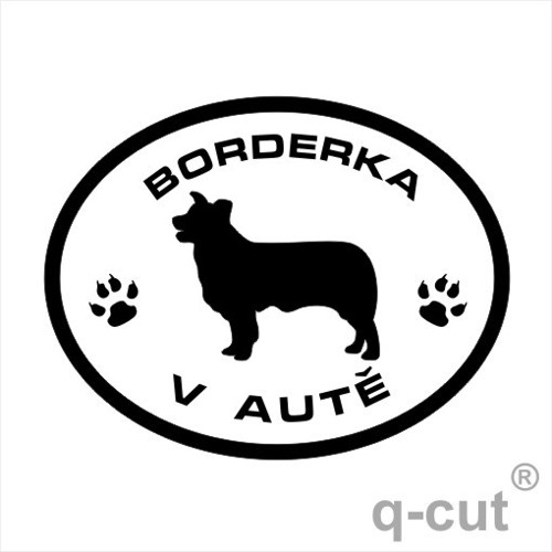 Borderka v autě