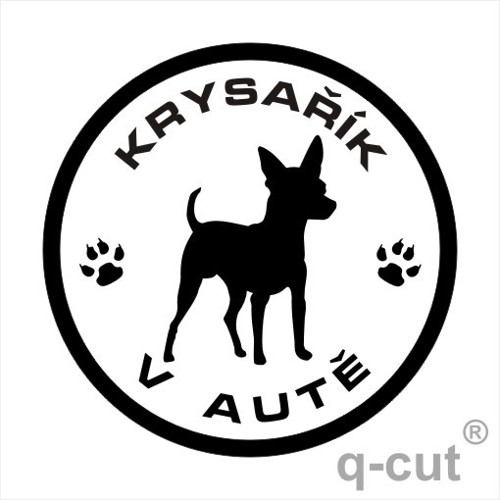 Krysařík v autě