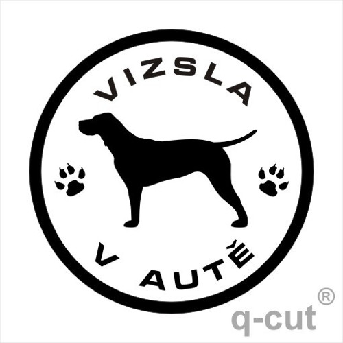 Vizsla v autě
