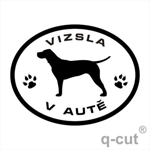 Vizsla v autě