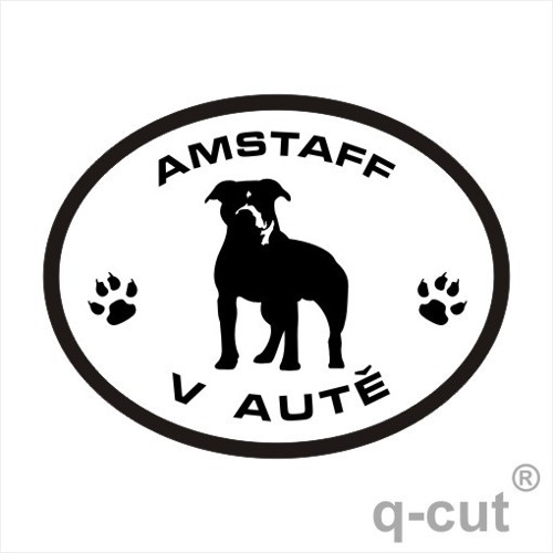 Amstaff v autě